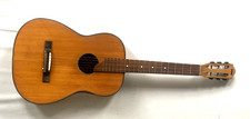 Chitarra acustica da salotto