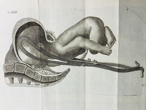 Medicina ostetrica 1807 - medicina,