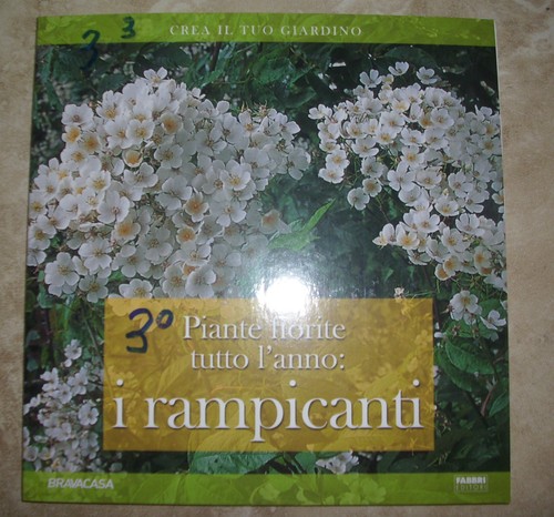 Crea tuo giardino piante - il,