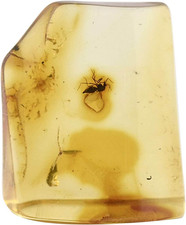 Ambra Baltica Con Inclusione