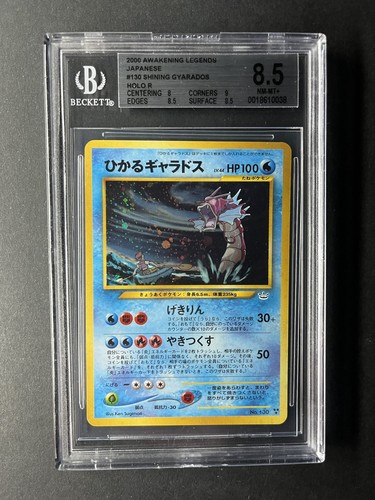 Japanese shining gyarados neo - japanese,