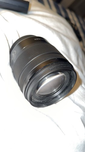 Panasonic lumix vario - g,