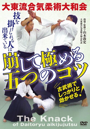 Daito ryu aikijujutsu - daito-ryu,