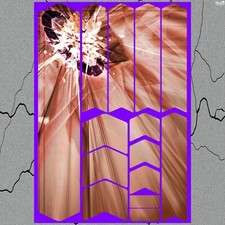 Pellicola protettiva decalcomania telaio bici opaco design 19 U/V per mountain bike
