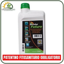 ROUNDUP FUTURE SECCATUTTO