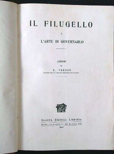 Filugello arte di - il,