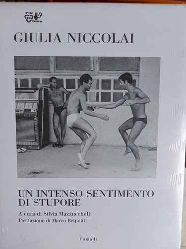 Libri giulia niccolai un - niccolai,