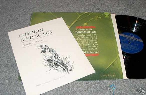 Common bird songs donald - bird,