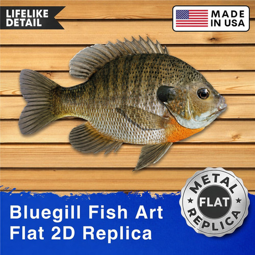 Bluegill metal wall art - wall, 10,5"