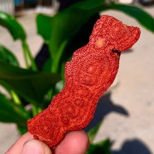 Campioni minerali marini 11G