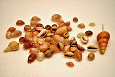 Vintage Misto Mare Cover