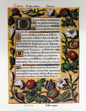 Jean Bourdichon - Libro d'ore