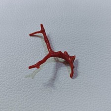 Ramo di corallo rosso Italia