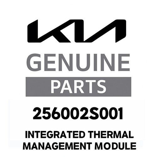 Modulo gestione termica - gestione, oem
