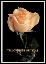 Cartolina Rosa Gialla del