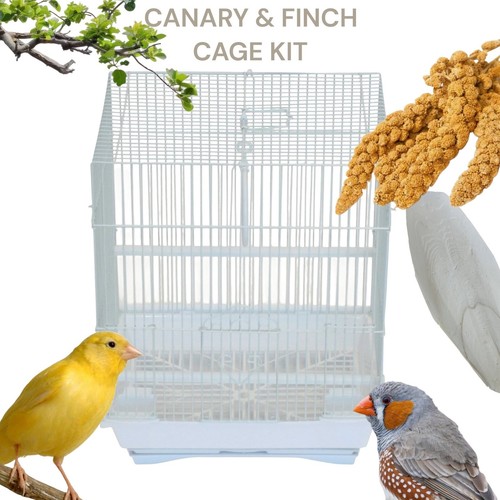 Gabbia avviamento finch and - gabbia,