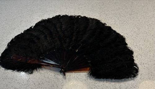 Antico ventaglio struzzo nero
