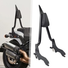 Schienale passeggero Sissy Bar
