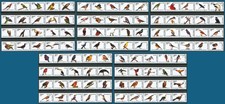 BIRDS OF THE WORLD Set di