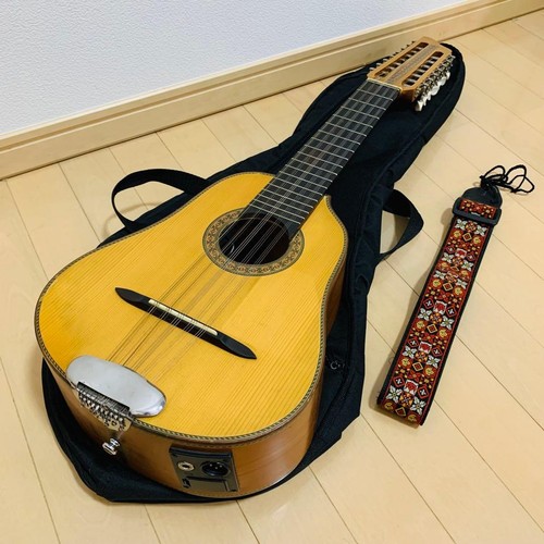 Bandolin chitarra elettrica