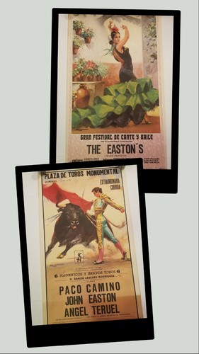 Poster plaza toros - poster,