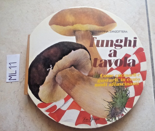 Libro funghi tavola - a, 100