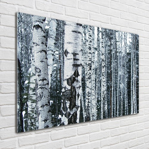 Quadro arte parete stampa - arte,