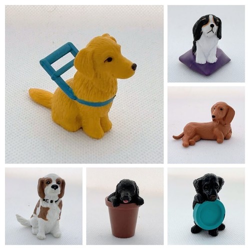 Puppy pocket meg - in, my