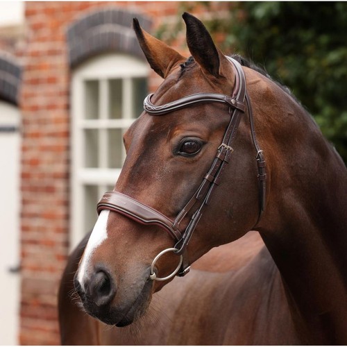 Shires velociti lusso - shires, opus
