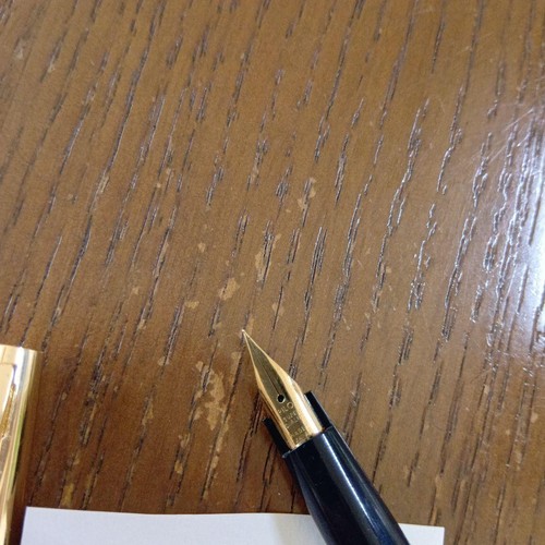 Penna stilografica pilot japan - stilografica,