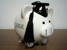 SALVADANAIO Porcellino