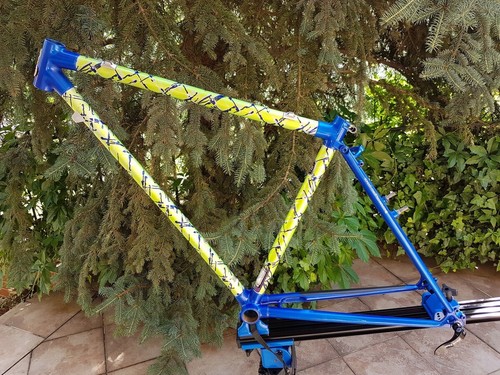 Telaio raleigh dyna - telaio, dyna-tech