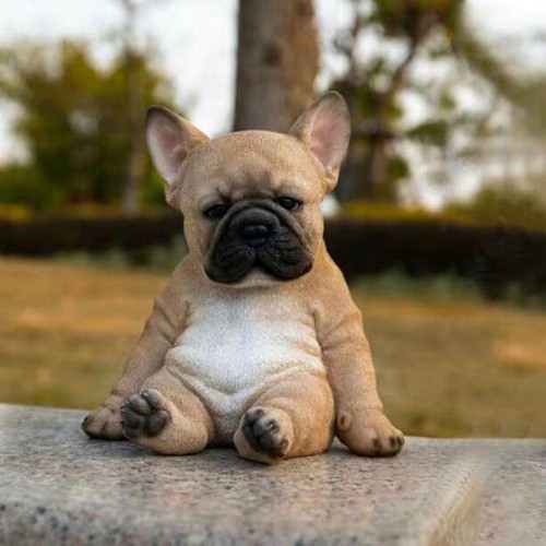 Statua bulldog francese cane - francese,