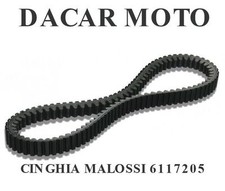 CINGHIA MALOSSI SYM JOYMAX I