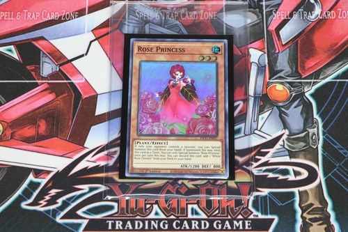 Yugioh principessa rosa - principessa,