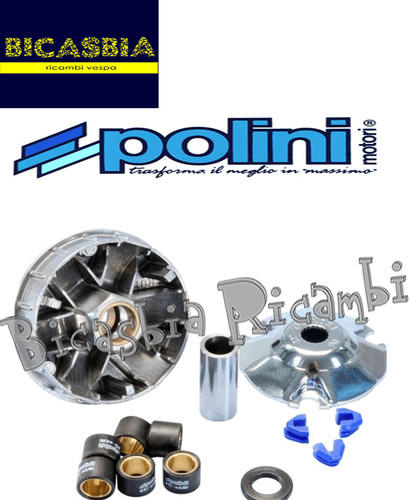 10870 variatore polini 50 - -,