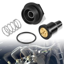 0435597 Gruppo Termico e