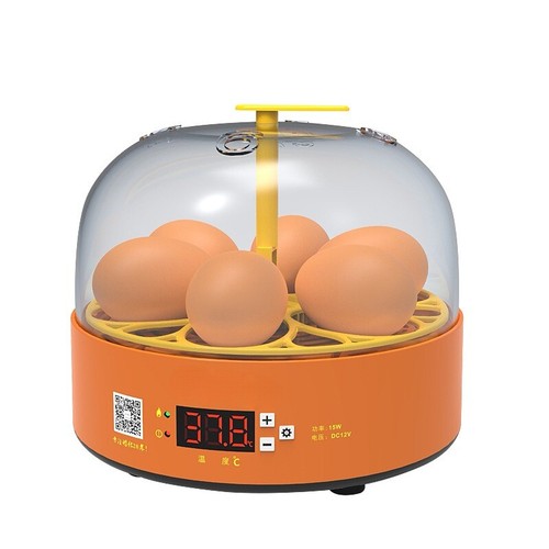 Mini 6mini chick - mini, incubator