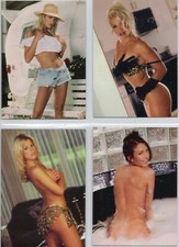 FEAST (THE) lotto di 50 carte collezionabili, 1999 Infinity Studio (Echo Johnson)