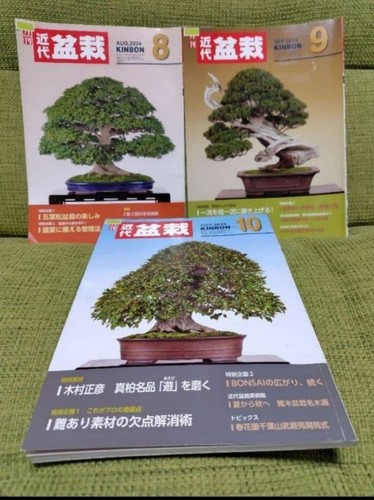 Modern bonsai august - bonsai, august-october