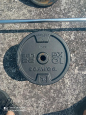 Due dischi bodybuilding da 10kg domyos 28mm