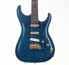 Chitarra elettrica Carruthers