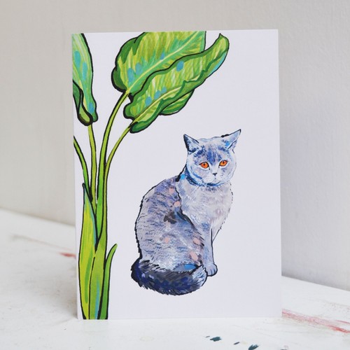 Biglietto compleanno gatto - biglietto,