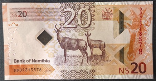 Namibia banconota 20 - banconota, da