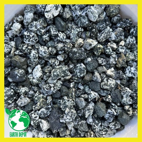 Pietre granito dalmata - dalmata, 20