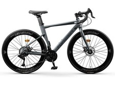 Bicicletta da strada grande 24