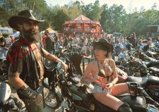 Picture Postcard>>THE ART OF