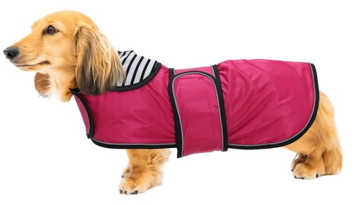 Geyecete cappotto cane - cappotto,