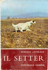 Libro setter caccia - il,