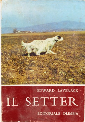 Libro setter caccia olimpia - caccia,